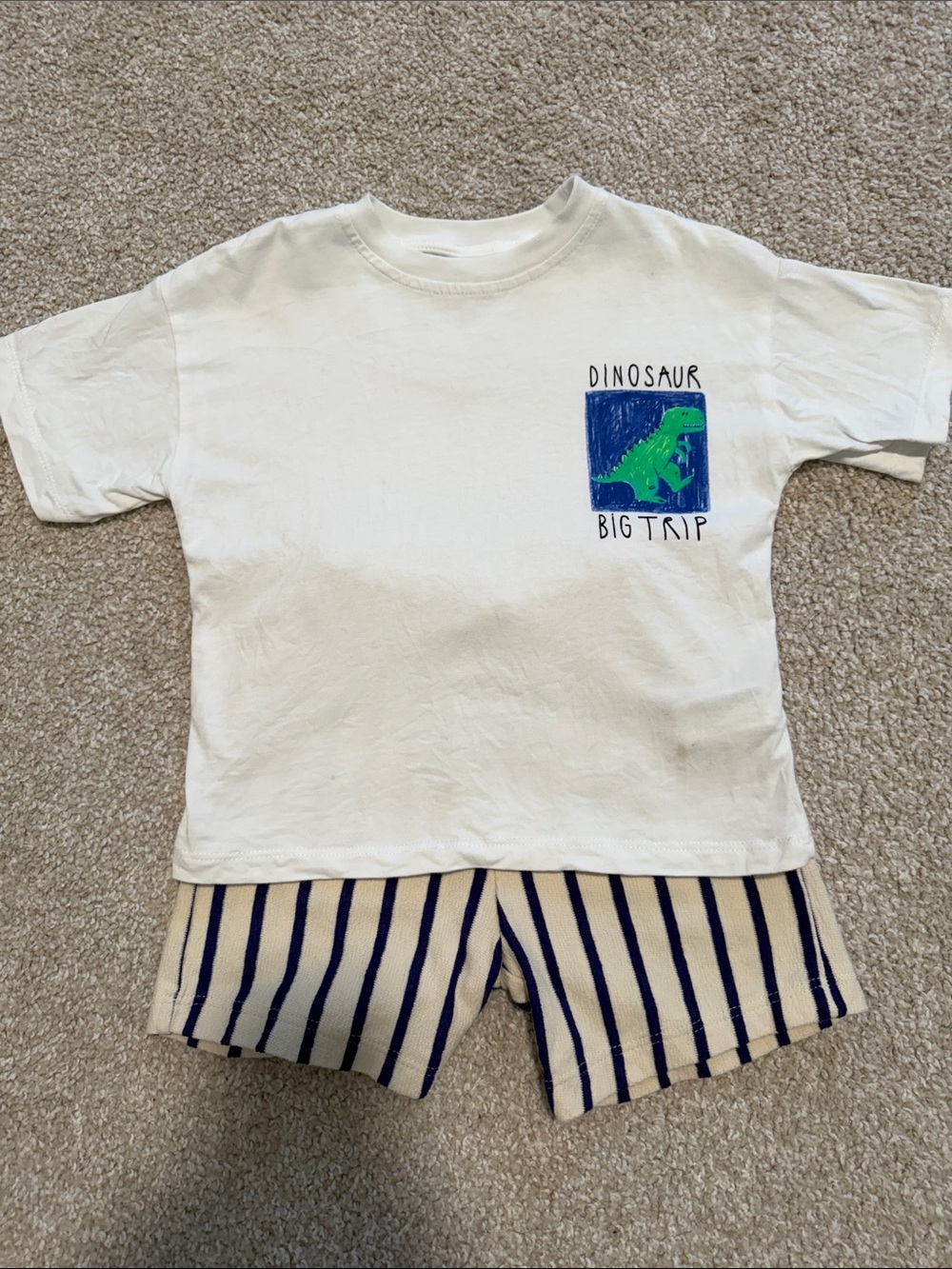 Zara Toddler Boy Set